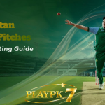 fast bowling friendly pitches in pakistan cricket betting guide using pkgame7 app